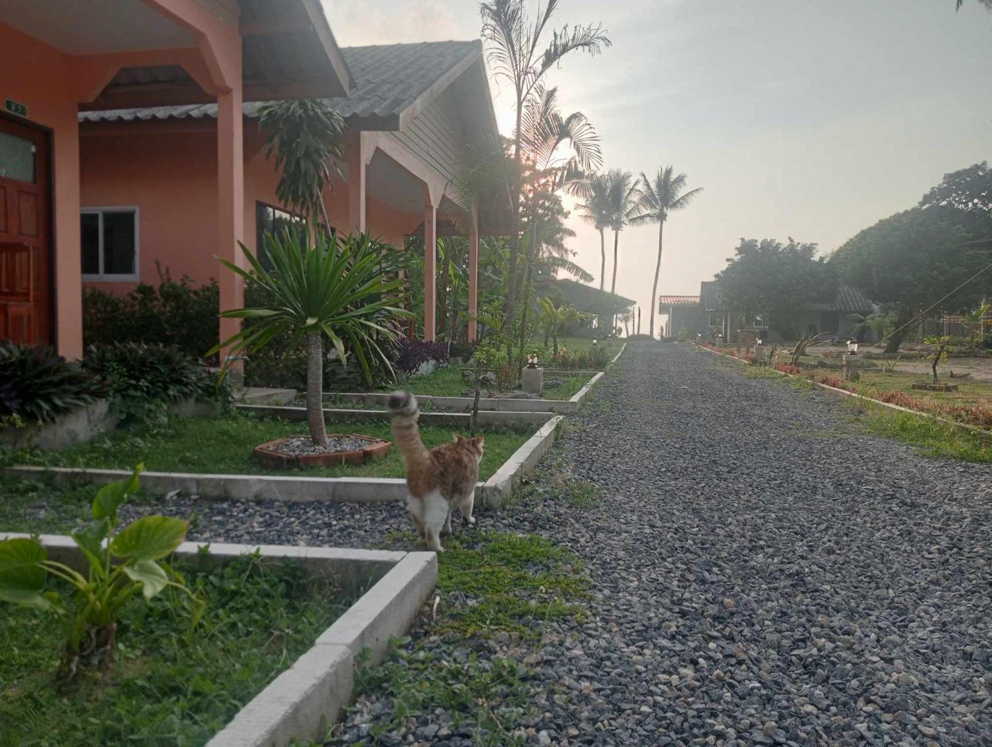 Scandinavian Beach Resort Ko Lanta Zewnętrze zdjęcie