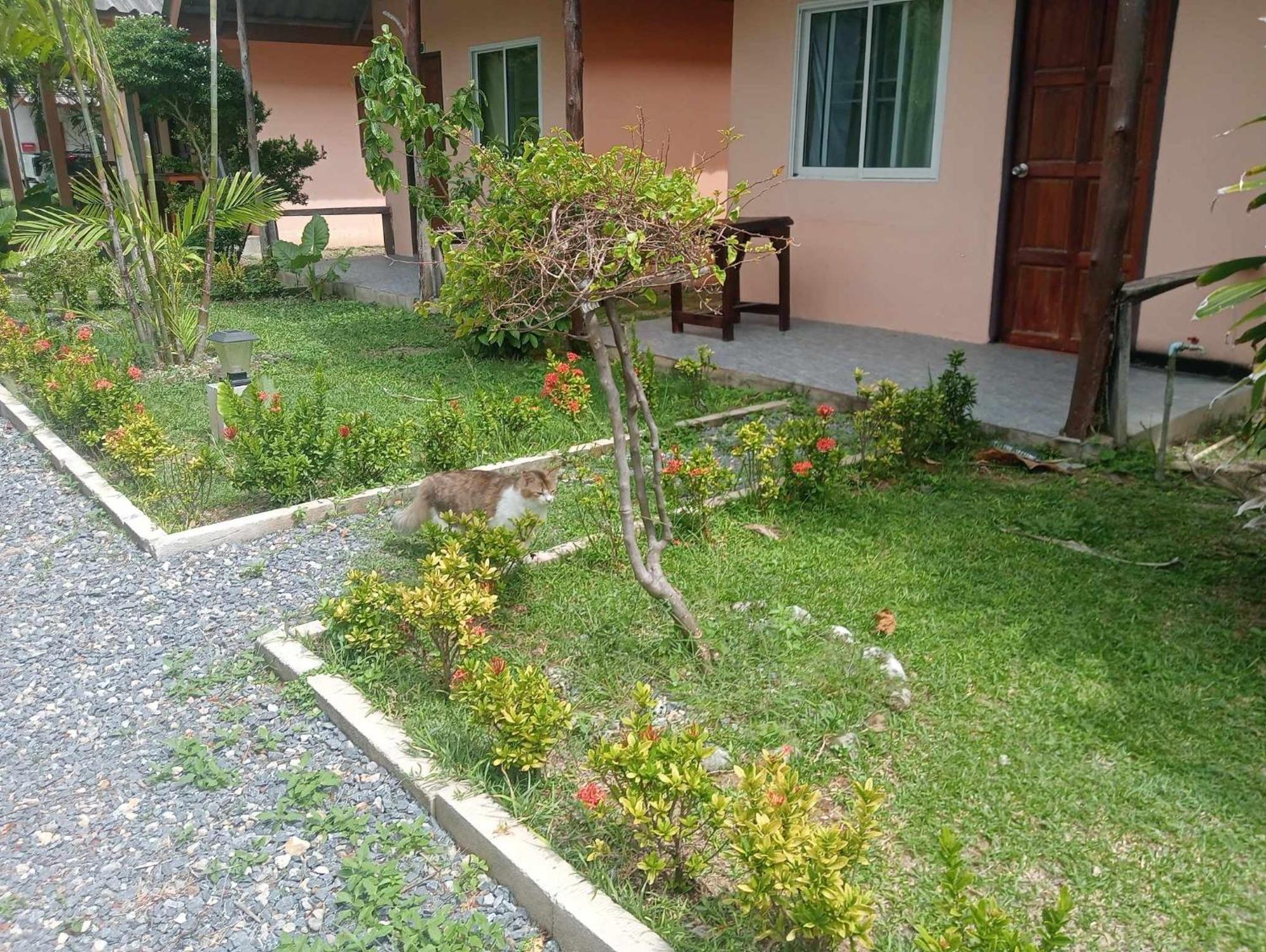Scandinavian Beach Resort Ko Lanta Zewnętrze zdjęcie